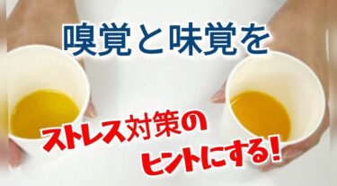 嗅覚・味覚を研ぎ澄まし、ストレス対策のヒントにする！