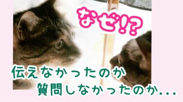 【ストレスケア講座】自分理解エクササイズ！～なぜ、伝えなかったのか・質問しなかったのか⁈～