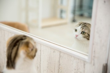自分を客観視するスキルが上がる「認知行動療法」とは？ 「井上講師Blog」