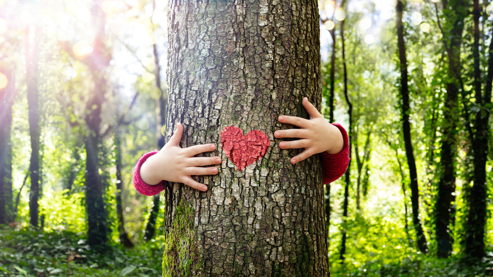 うつで何もしたくない…、 そんな自分を責めてしまうあなたへ。