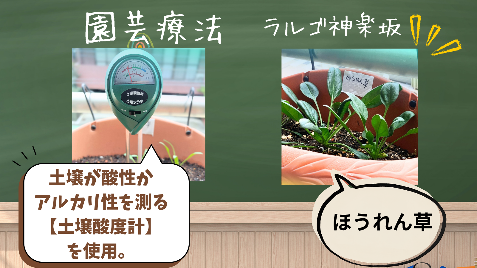 東京都新宿区 少人数の就労移行支援ラルゴ神楽坂|うつ、発達障害、適応障害、双極性障害などの精神疾患 ラルゴ神楽坂、「園芸療法」のご報告です!