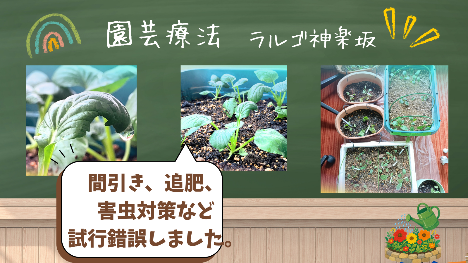 東京都新宿区 少人数の就労移行支援ラルゴ神楽坂|うつ、発達障害、適応障害、双極性障害などの精神疾患 ラルゴ神楽坂、「園芸療法」のご報告です!